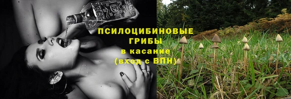 каннабис Белокуриха