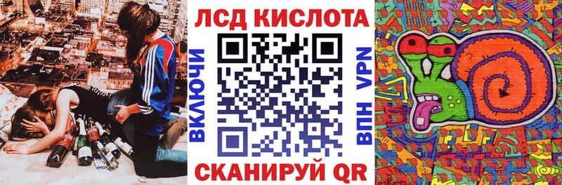 Марки 25I-NBOMe 1,5мг  darknet как зайти  Новоалександровск  что такое   кракен  