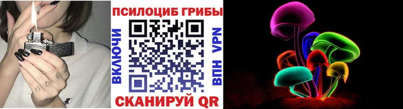 Галлюциногенные грибы MAGIC MUSHROOMS  Новоалександровск 