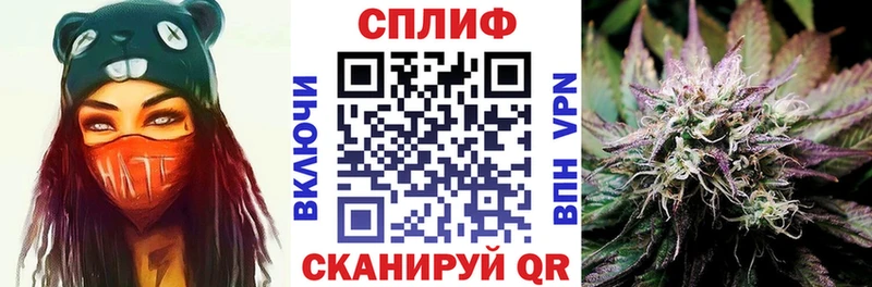 МАРИХУАНА ГИДРОПОН Новоалександровск